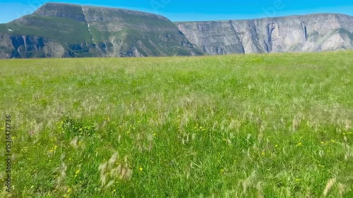 Wallpaper Mural Icelandic Meadow-Green Grass, Distant Mountains Torontodigital.ca