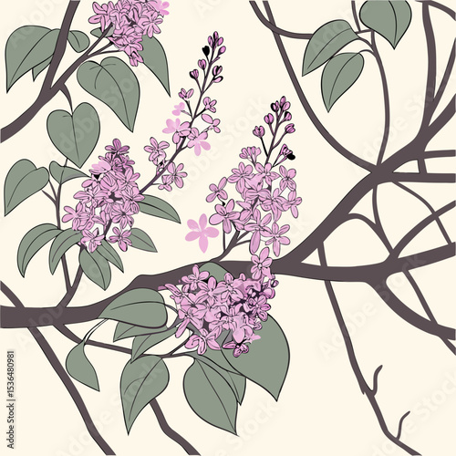a lot of lilac bush branches thicket