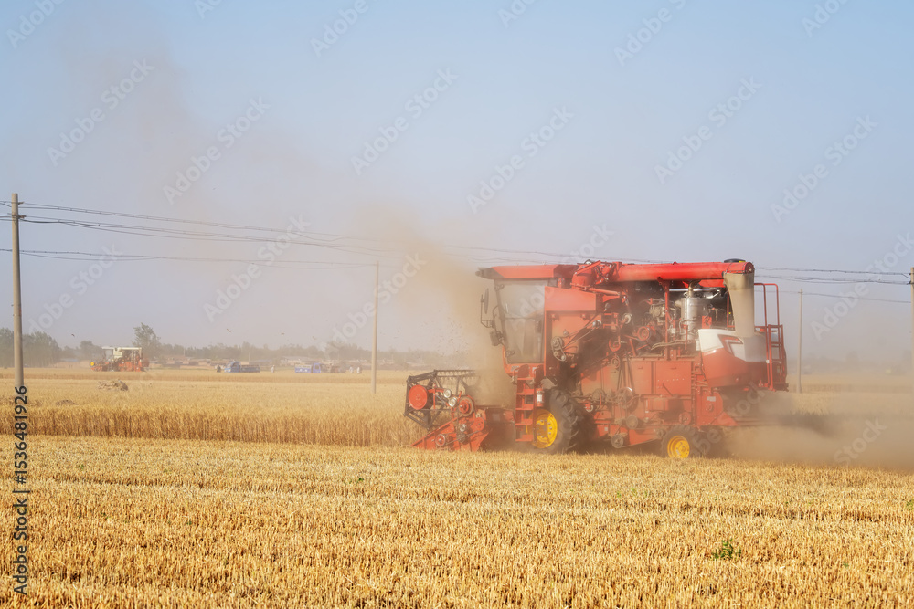 Fototapeta premium Wheat Harvesting Machine in Field