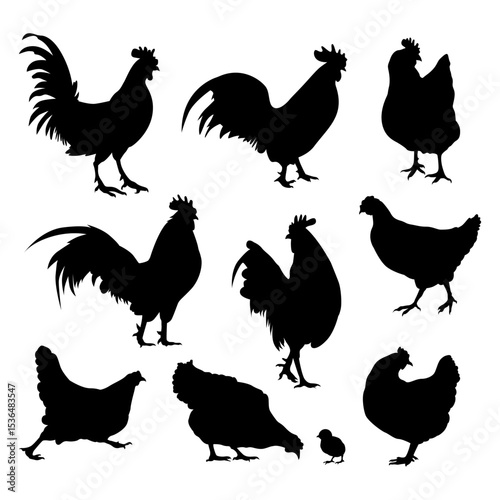 collection of chicken silhouettes