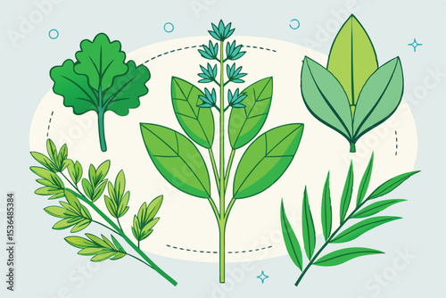 Illustrated depiction of multiple types of green herb leaves on a minimalist ornamental backdrop, ideal for culinary, botanical, or medicinal themes in design and illustration.