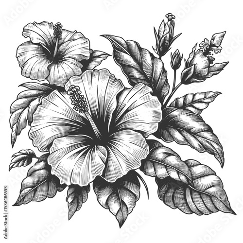 hibiscus flowers and leaves sketch engraving generative ai fictional character vector illustration. Scratch board imitation. Black and white image.