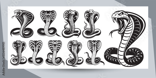 Vector illustration of a hand-drawn alphabet with a tribal black silhouette of a snake and a sea animal design