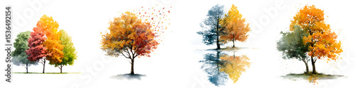 Colorful autumn trees and their reflections in water