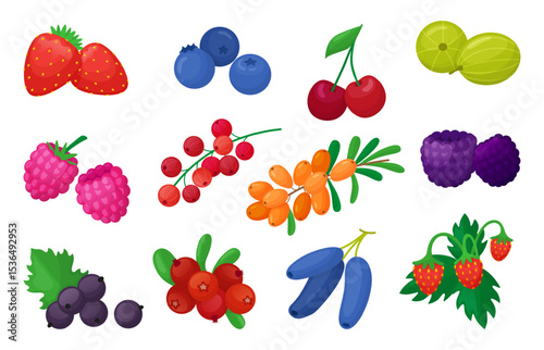 Cartoon berries. Fresh berry, organic farm natural vitamin food. Isolated strawberry, gooseberry, cherry, blueberry, blackberry, raspberry, neoteric vector clipart