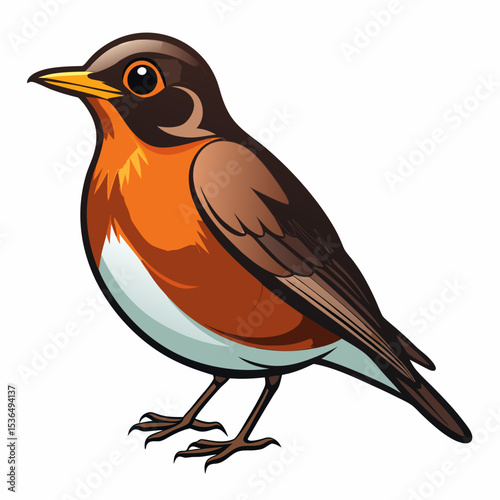 robin on a branch