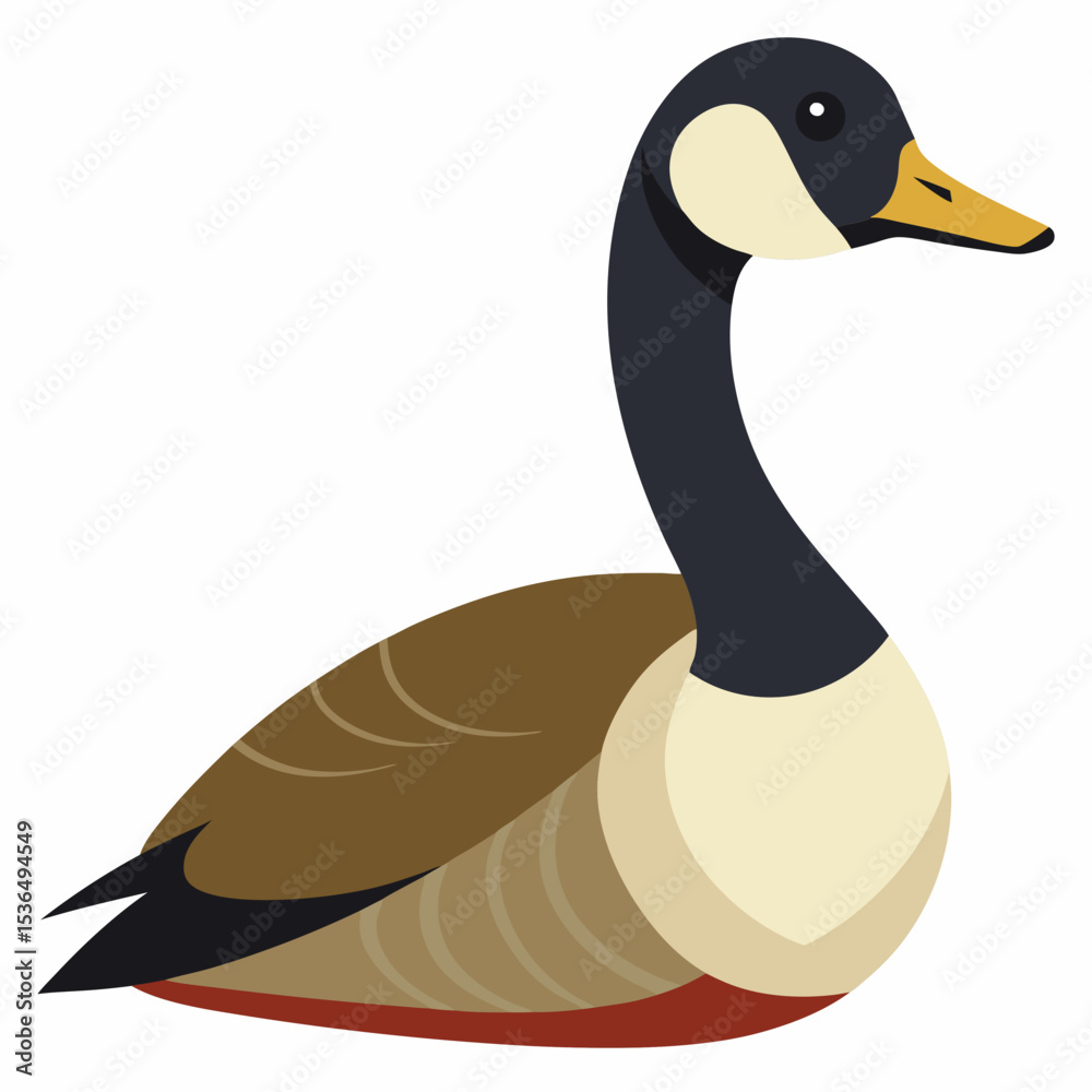 Obraz premium duck on white