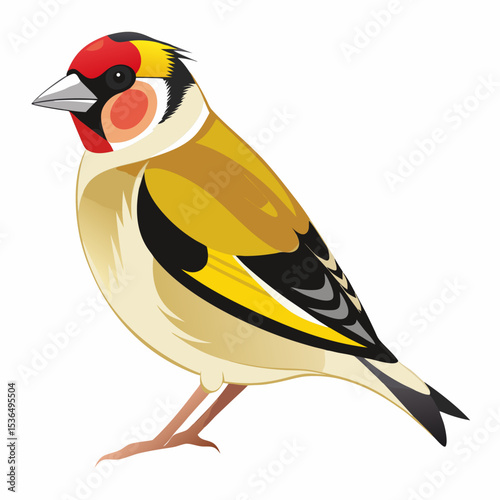 bird on a branch