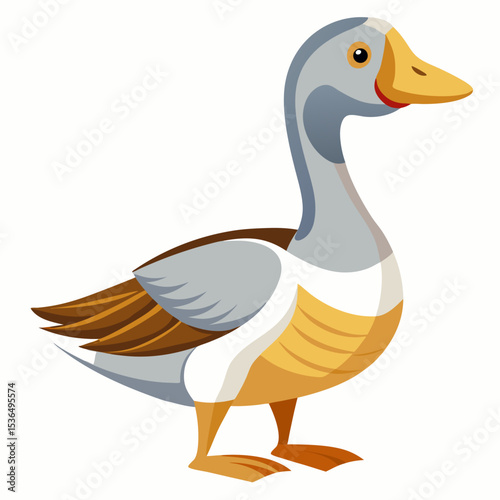 duck isolated on white background