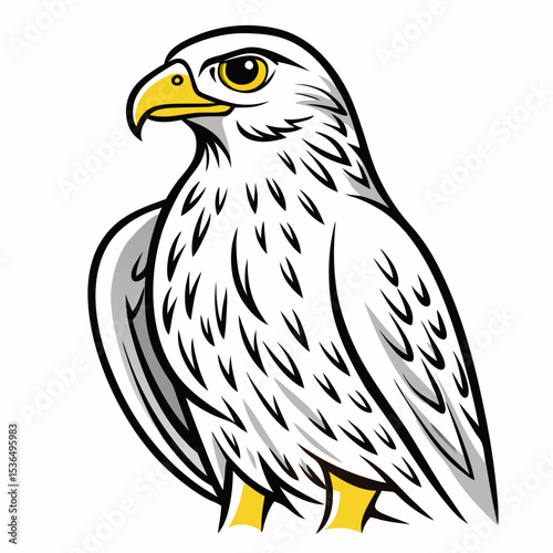 eagle on a white background