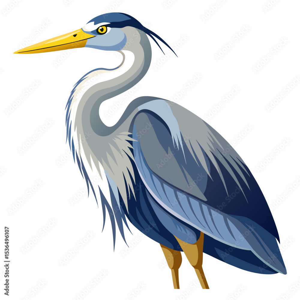 Fototapeta premium great blue heron