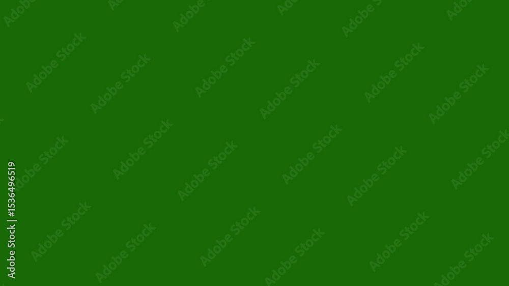 Animated circle bursts and line fireworks loop. 4K motion graphic with green and black background options for events and creative projects.