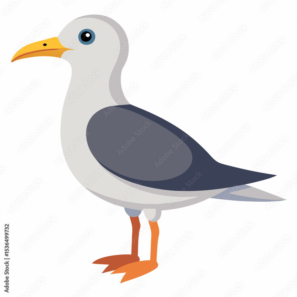 Obraz premium seagull isolated on white