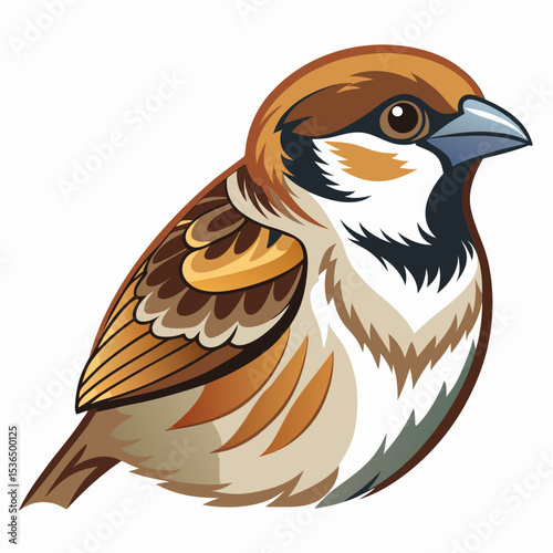 bird of prey