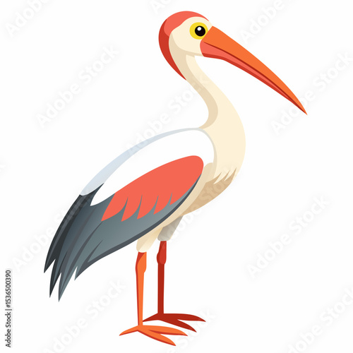 white stork ciconia