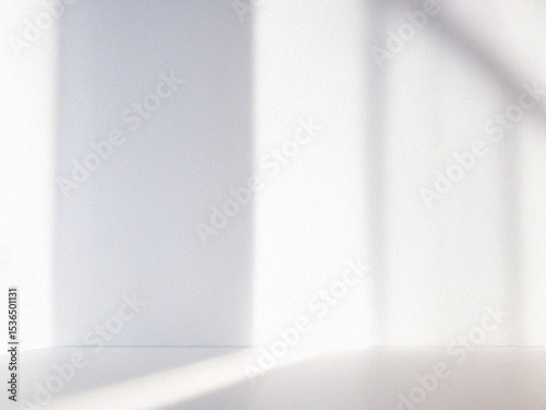 白い壁に太陽の光が美しい影をつくる部屋