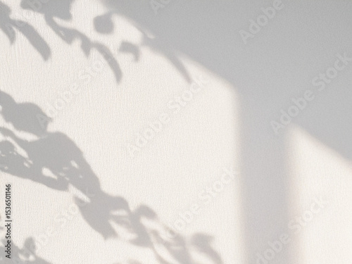 白い壁に太陽の光と植物の葉の影が美しい部屋