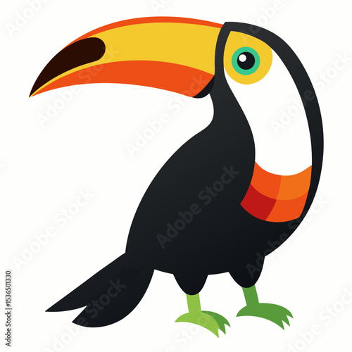 toucan on a white background