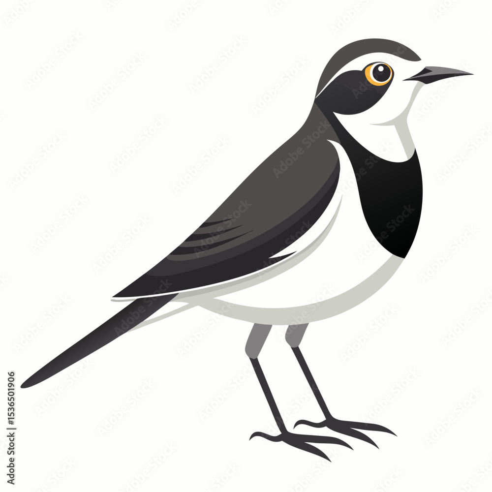 Obraz premium black and white bird