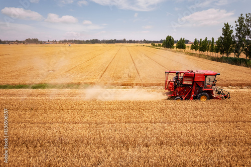 Wheat Harvesting in a Golden Field photo