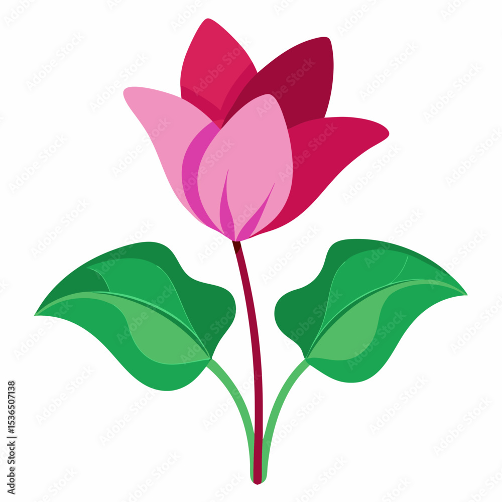 Obraz premium pink flower isolated on white