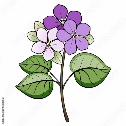 lilac branch isolated on white