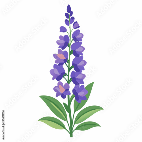 lilac flowers isolated on white background