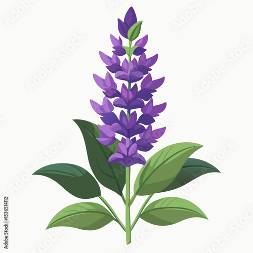 lilac isolated on white background