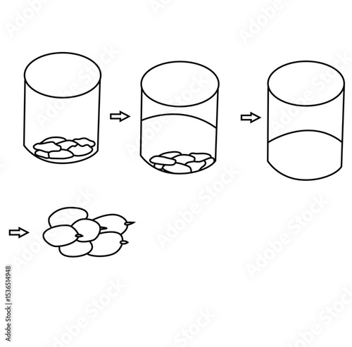 Science of hand drawn vector Endosmosis experiment  outline.