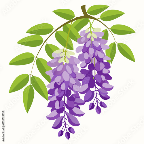 branch of lilac