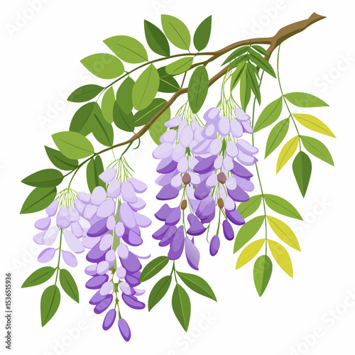 branch of lilac