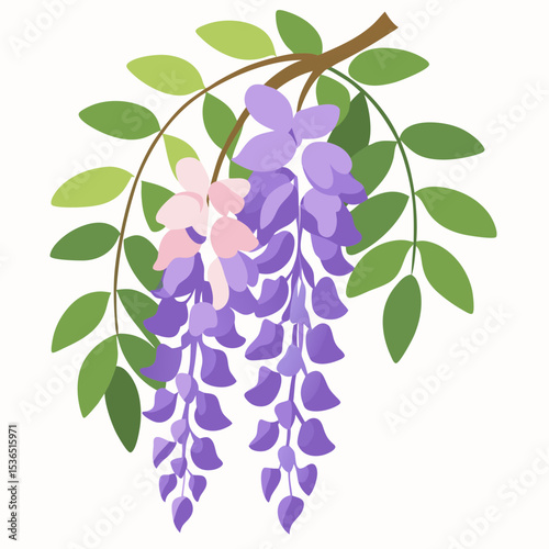 branch of lilac