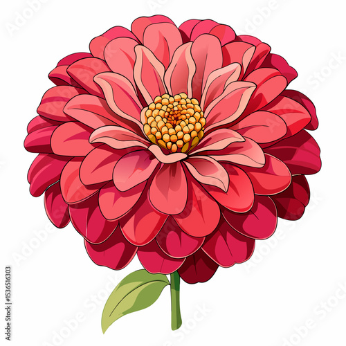 pink dahlia flower