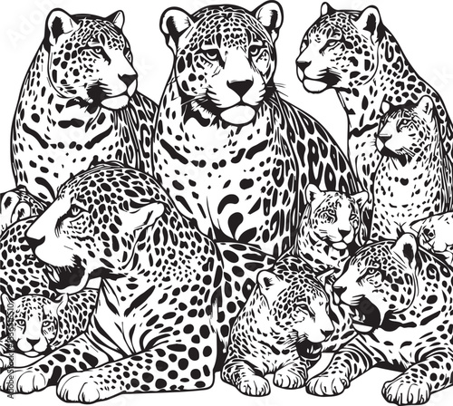 Black and White Jaguar Vector Illustration – Minimalist Wild Cat Silhouette Art	