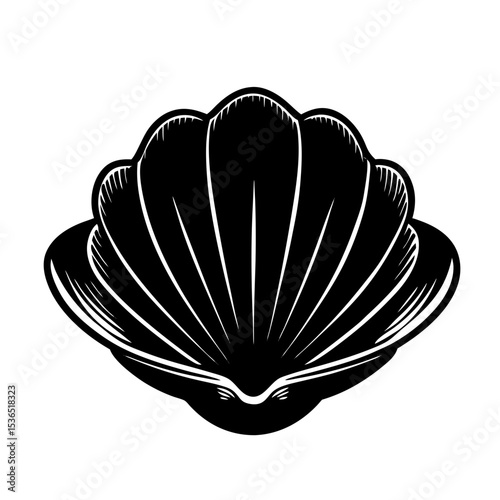 Clamshell Shilhouette Illustration