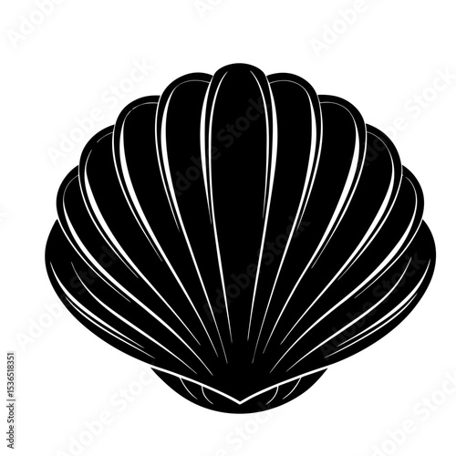 Clamshell Shilhouette Illustration