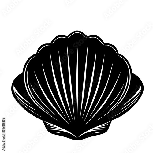 Clamshell Shilhouette Illustration