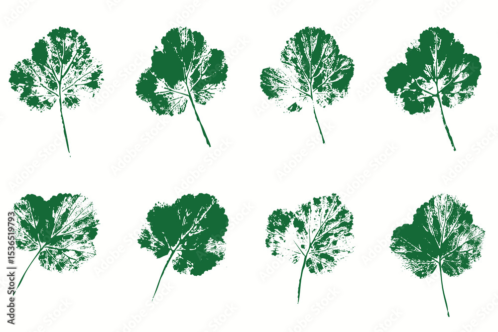 Fototapeta premium Natural leaves imprint, grunge style, vector, isolated, decorative elements for design