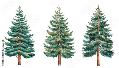 Watercolor vector set of fir, spruce, and pine trees isolated on transparent background. Evergreen coniferous forest elements ideal for winter decor, landscape design, and Christmas projects