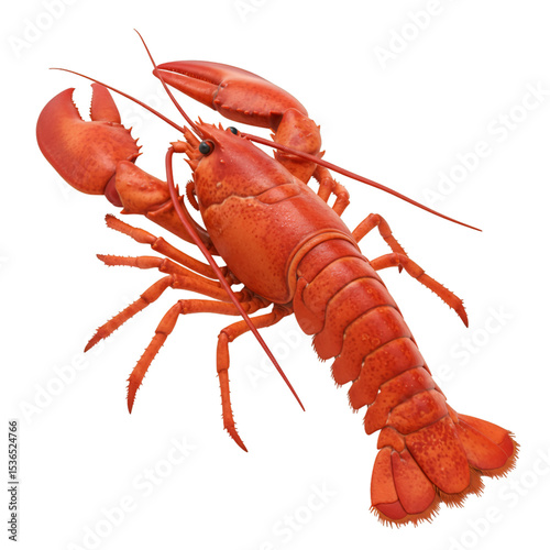 lobster isolated on white