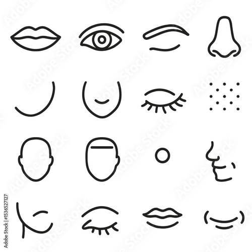 Facial Feature Icons. Line style icons of facial features: lips, eyes, eyebrows, nose, cheeks, chin, eyelashes, skin texture, face