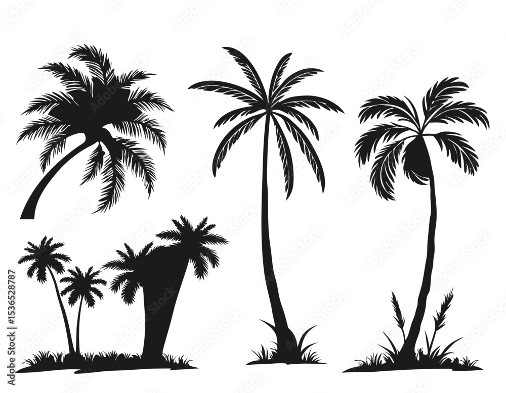 Obraz premium A set of black plam tree Silhouette, Illustration black with white background