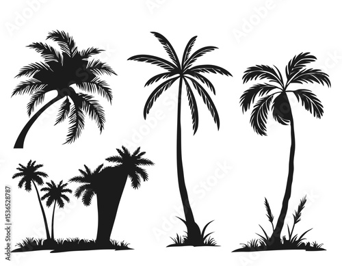 A set of black plam tree Silhouette, Illustration black with white background