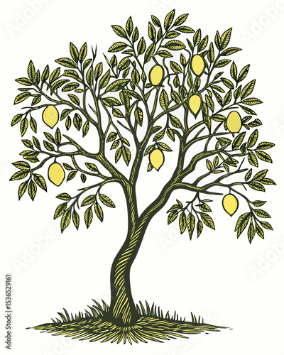Lush Lemon Tree Illustration Vibrant Citrus Fruits & Greenery, Botanical Art