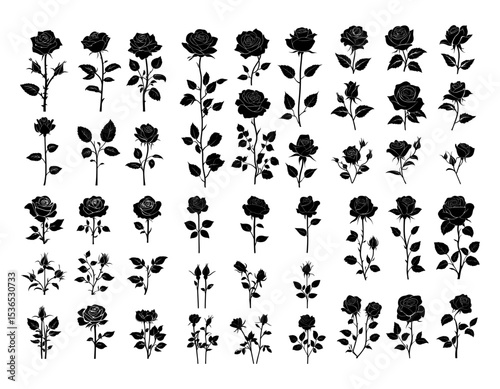 Roses flowers black ink vector set. Petals stems garden fresh blooms floral arrangement elegant bouquet wedding decor classic symbolism plants, charm flora isolated illustration on white background
