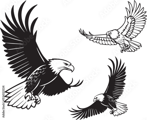 Soaring Eagles A Collection of Majestic Bald Eagle Illustrations