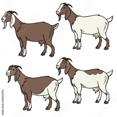 Four Goats with Brown and White Markings Standing in a Group on a White Background Illustration Style