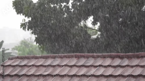 Heavy rain pours over a tiled rooftop, with blurred trees in the background, creating a calm and moody atmosphere typical of a rainy day.










