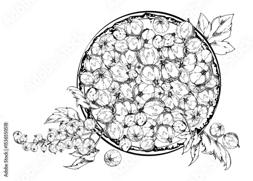 Currant gooseberry clusters, leaves on ceramic dish, hand drawn in vector ink, ripe picked garden berry harvest, casseille jostaberry. Isolated illustration. Organic food branding, fresh grocery store