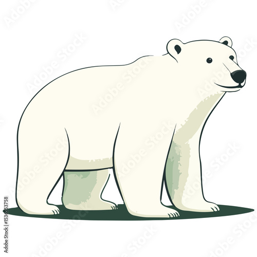 polar bear, animal, vector, transparent background, creature, ursus maritimus, isolated, icon, bear, zoo, mammal, cute, nature, white, wildlife, big, polar, arctic